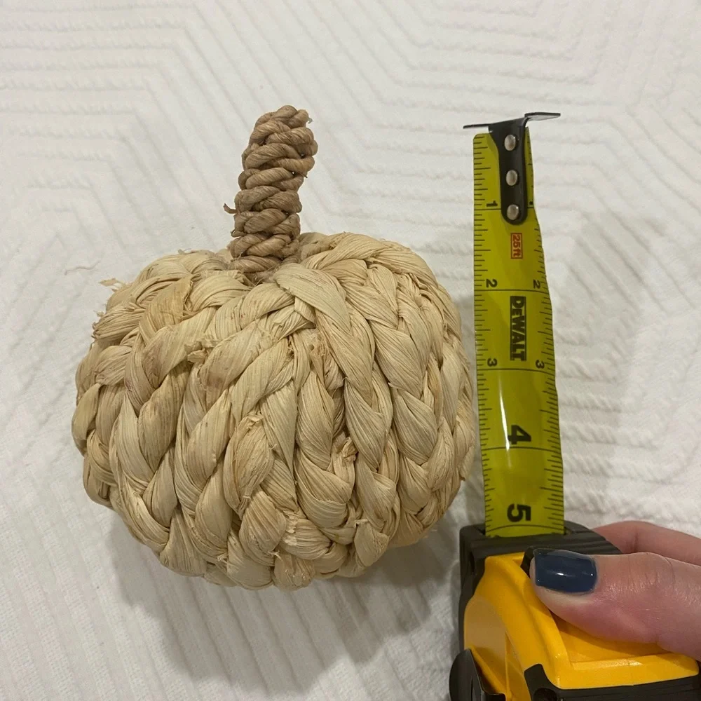 Target wicked pumpkins (4)